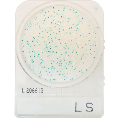 COMPACT DRY LISTERIA (4 UD. PAQ)